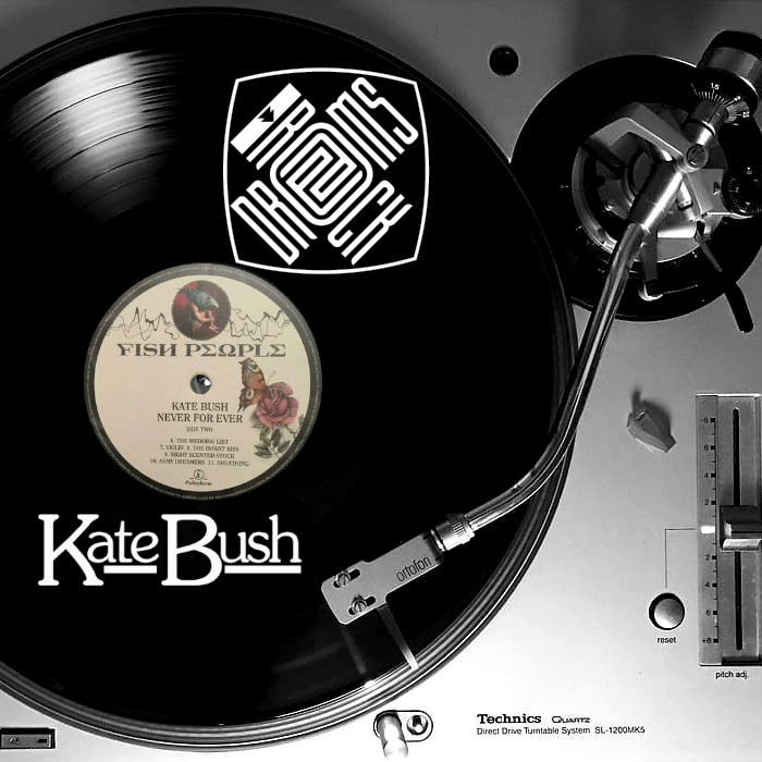 Rock Dreams du 21 02 2026 Rock Dreams Rock Dreams du 21 02 2026