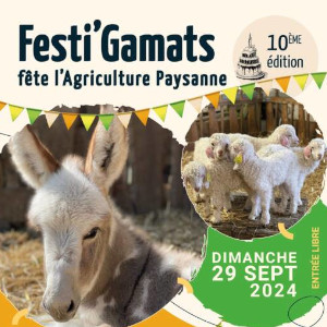 Festi-Gamats du 29 09 2024 Spéciales Festi-Gamats du 29 09 2024