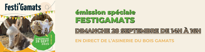 250928gamats.png