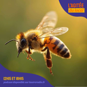L'Agitée du local L'Agitée du local du 22 10 2025