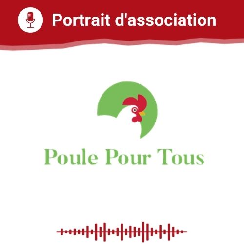 Portrait d'association Poules Pour Tous du 15 12 2021 Vie Associative Portrait d'association Poules Pour Tous du 15 12 2021