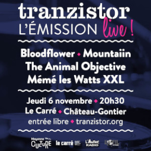 Tranzistor du 08 11 2025