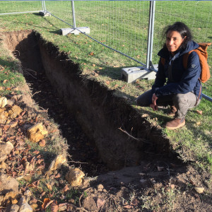 Penser local Penser local du 19 11 2025