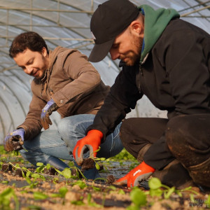 Penser local Penser local du 03 12 2025