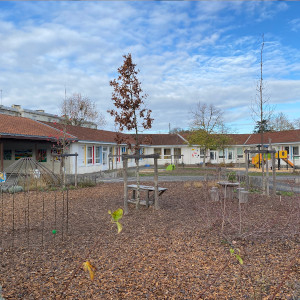 Penser local Penser local du 10 12 2025