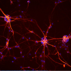 La sagesse de Tug du 25 12 2025