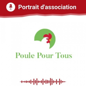 Vie Associative Portrait d'association Poules Pour Tous du 15 12 2021